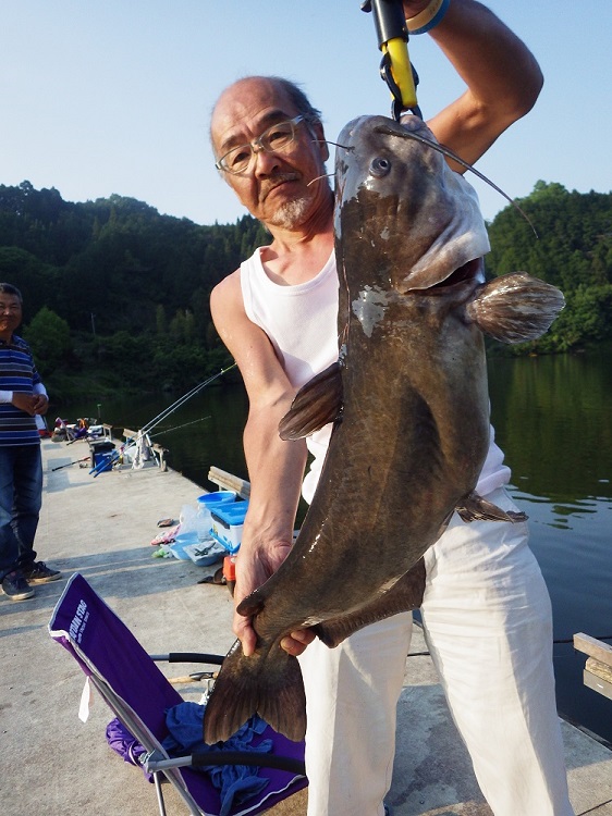 キャットフィッシュ調査釣りで、大きな魚を手に持つ参加者の様子